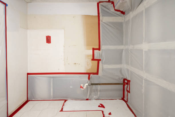 Best Water Damage & Mold Remediation  in Spirit Lake, IA